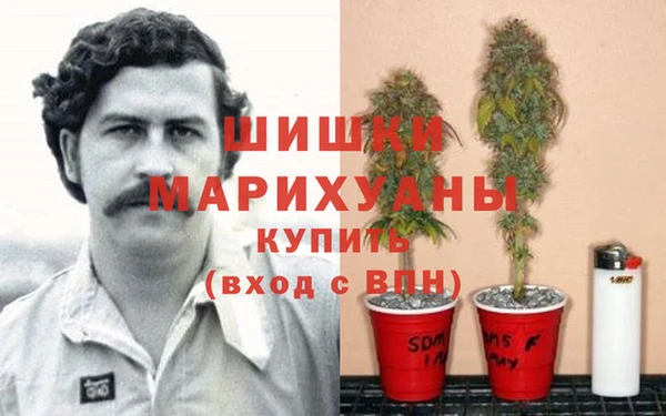 MDMA Дмитриев