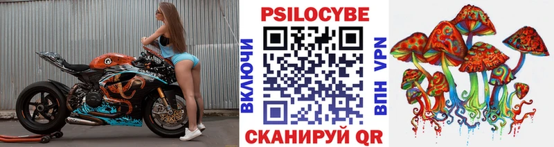Галлюциногенные грибы Magic Shrooms  mega зеркало  Завитинск 